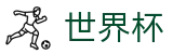 FIFA 2026世界杯（中文）入口 - 世界杯下注官网是多少